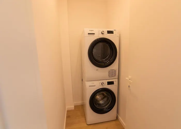 Roots Three - Modern Lakeview *