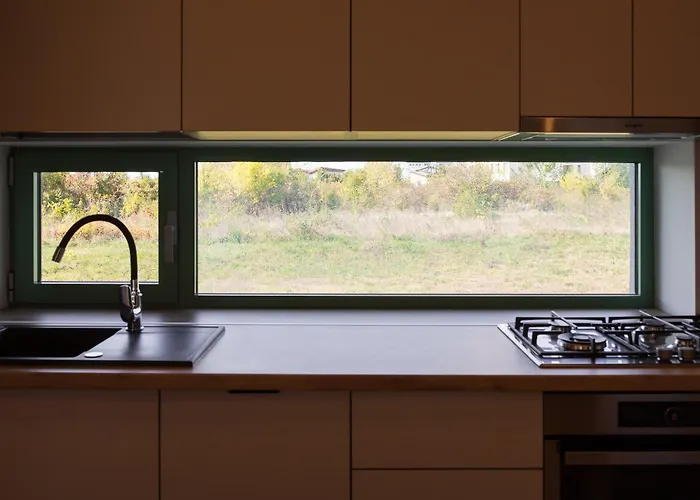 Roots Three - Modern Lakeview Bucharest